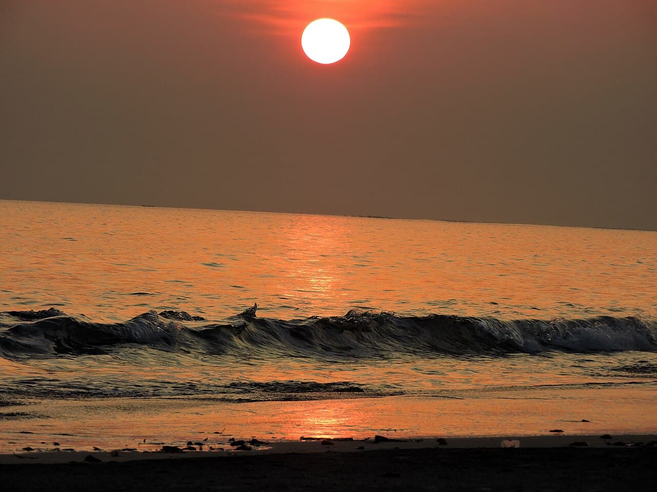 Havelock (Andaman)